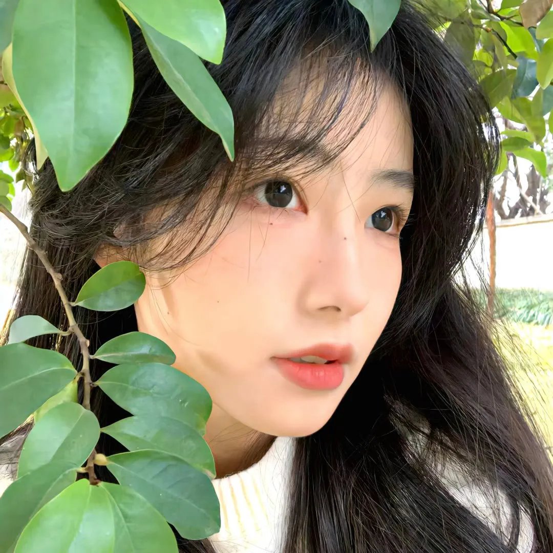 最后的尖叫