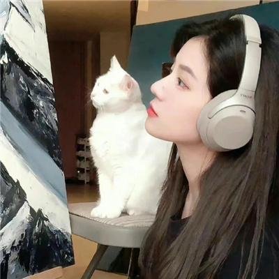 追夫四人行