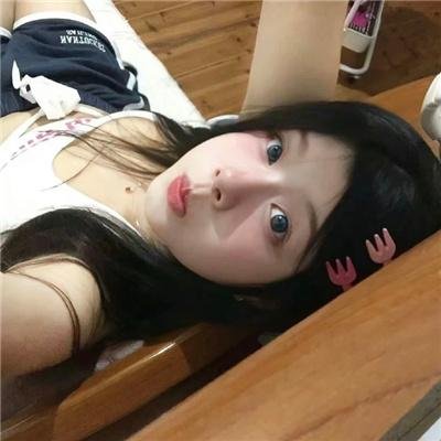 狐狸女士第二季